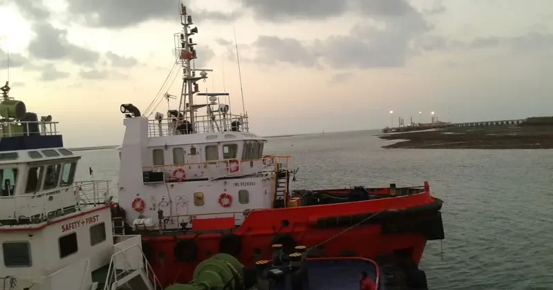 CALYPSO FORTUNE General Cargo IMO 9528263 photo 2