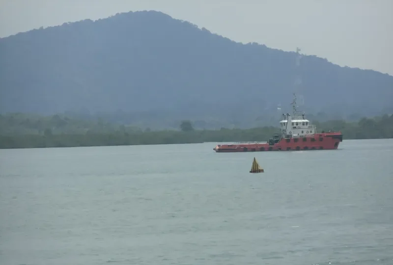 CALYPSO FORTUNE General Cargo IMO 9528263 photo 5