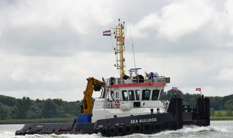 SEA BULLDOG General Cargo IMO 9528299