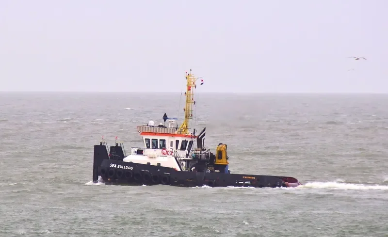 SEA BULLDOG General Cargo IMO 9528299 photo 3