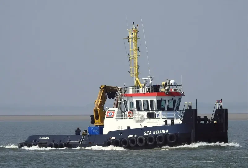 SEA BELUGA General Cargo IMO 9528316 photo 4