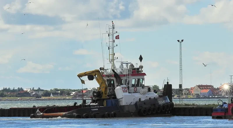 SEA BELUGA General Cargo IMO 9528316 photo 10