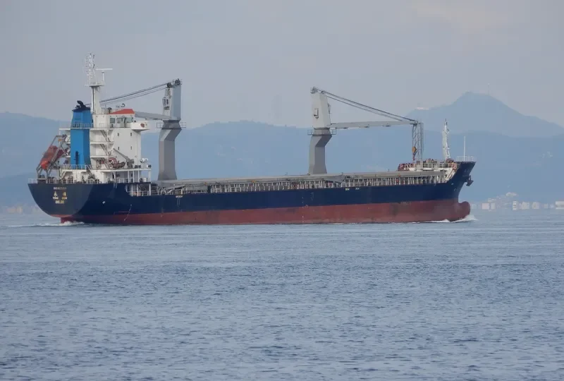 YONG SHUN General Cargo IMO 9528419