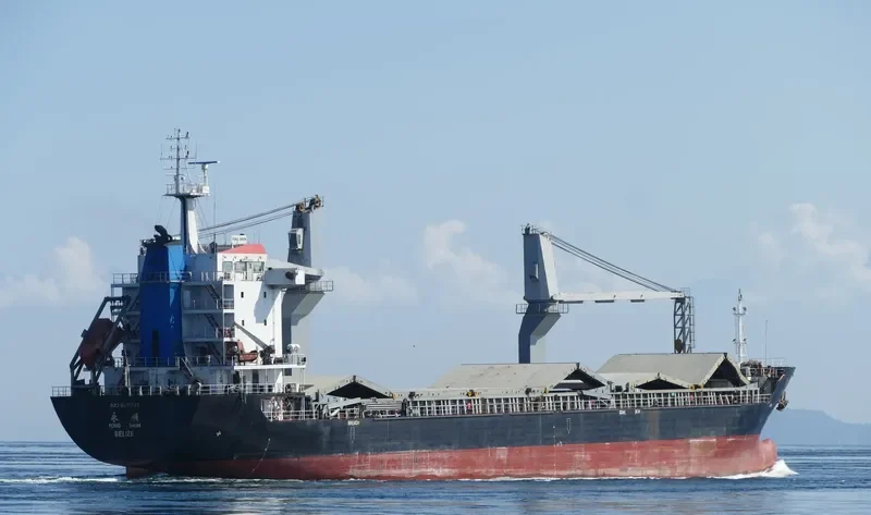 YONG SHUN General Cargo IMO 9528419 photo 3
