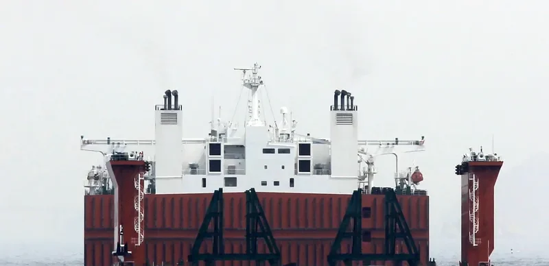 MEGA PASSION General Cargo IMO 9528421 photo 2