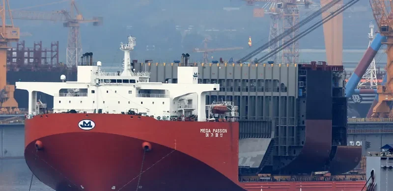 MEGA PASSION General Cargo IMO 9528421 photo 7