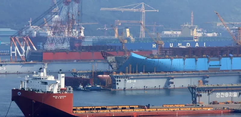 MEGA PASSION General Cargo IMO 9528421 photo 10
