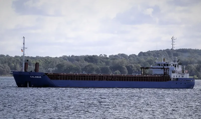 CALAMAR General Cargo IMO 9528512 photo 7