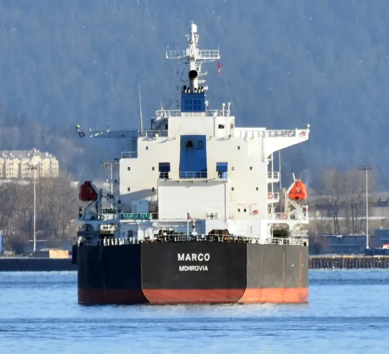 MARCO Bulk Carrier IMO 9528574 photo 3