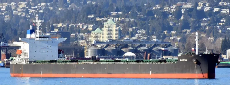 MARCO Bulk Carrier IMO 9528574 photo 4