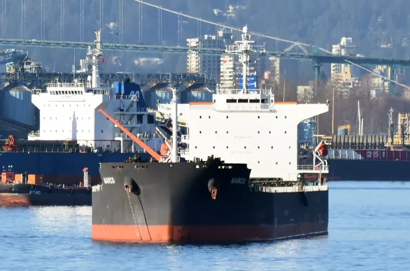 MARCO Bulk Carrier IMO 9528574 photo 5