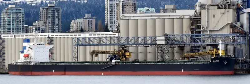 MARCO Bulk Carrier IMO 9528574 photo 8