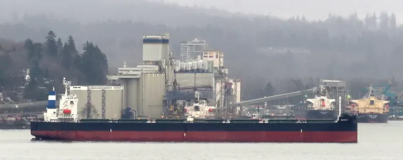MARCO Bulk Carrier IMO 9528574 photo 10