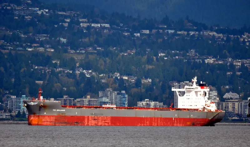 CSK BRILLIANCE Bulk Carrier IMO 9528665 photo 8