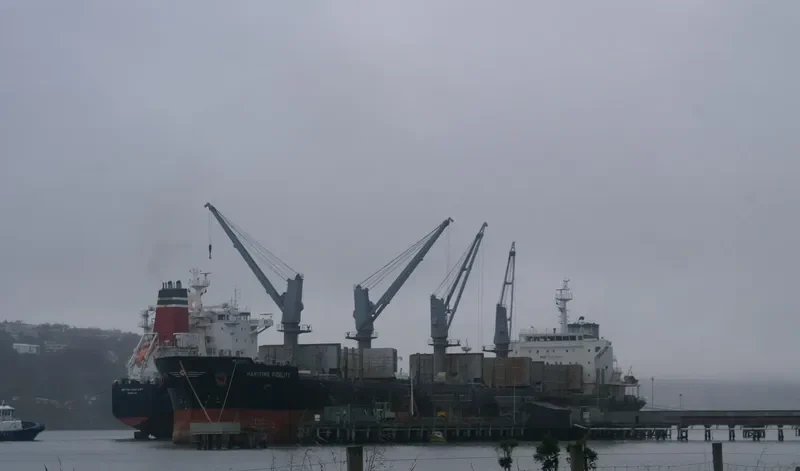 DEWI AMBARWATI Bulk Carrier IMO 9528861