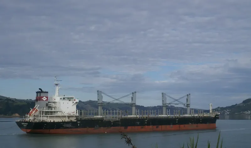 DEWI AMBARWATI Bulk Carrier IMO 9528861 photo 2