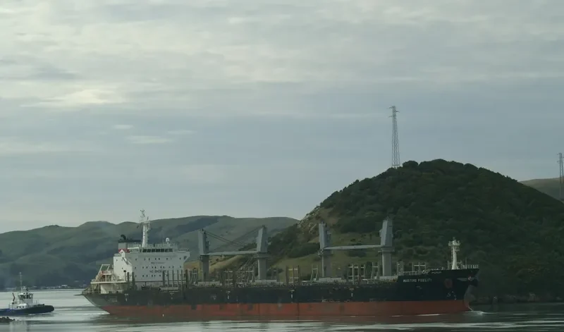 DEWI AMBARWATI Bulk Carrier IMO 9528861 photo 3