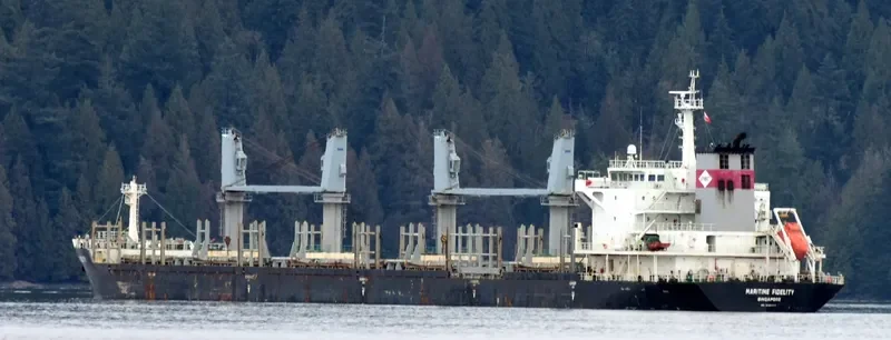 DEWI AMBARWATI Bulk Carrier IMO 9528861 photo 4