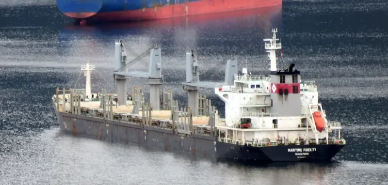 DEWI AMBARWATI Bulk Carrier IMO 9528861 photo 5