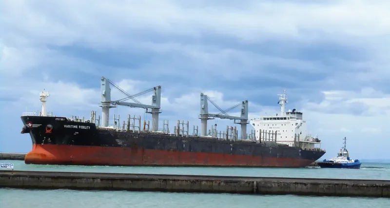DEWI AMBARWATI Bulk Carrier IMO 9528861 photo 6