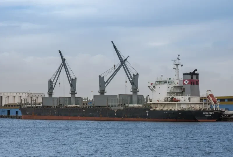 DEWI AMBARWATI Bulk Carrier IMO 9528861 photo 7