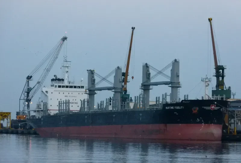 DEWI AMBARWATI Bulk Carrier IMO 9528861 photo 8