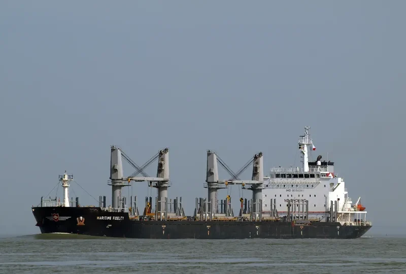 DEWI AMBARWATI Bulk Carrier IMO 9528861 photo 9