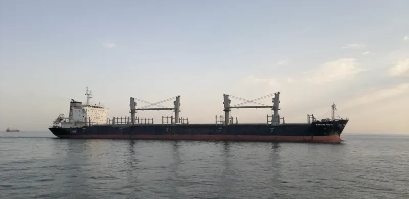 DEWI AMBARWATI Bulk Carrier IMO 9528861 photo 10