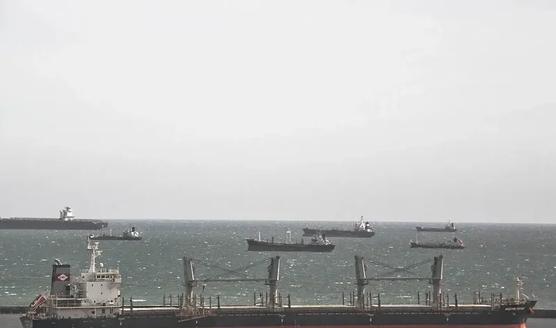 DEWI REGINA MANGGALA Bulk Carrier IMO 9528873 photo 2
