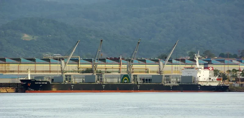 DEWI REGINA MANGGALA Bulk Carrier IMO 9528873 photo 8