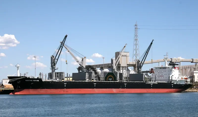 DEWI REGINA MANGGALA Bulk Carrier IMO 9528873 photo 10