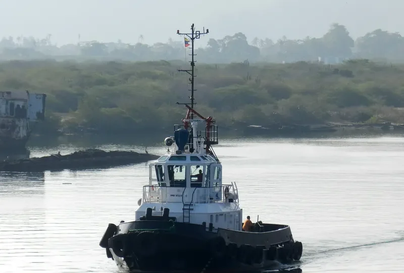 REVOLUCION General Cargo IMO 9529023 photo 2