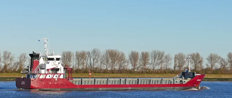 MOANA General Cargo IMO 9529190