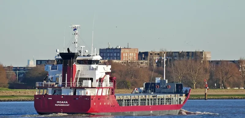 MOANA General Cargo IMO 9529190 photo 2