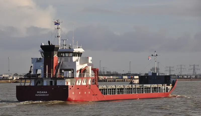 MOANA General Cargo IMO 9529190 photo 9