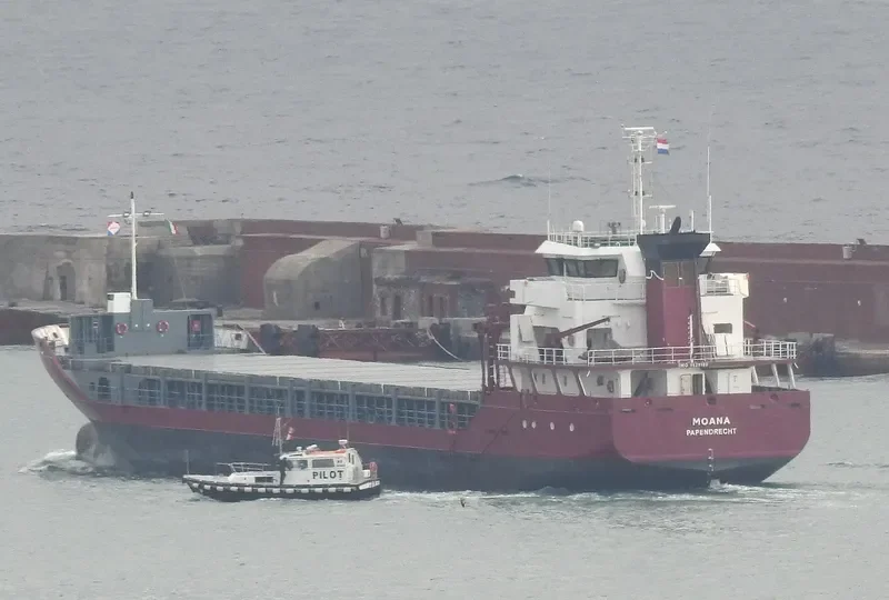 MOANA General Cargo IMO 9529190 photo 10