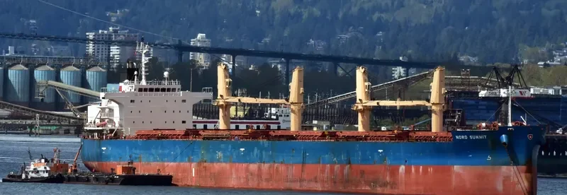 NORD SUMMIT Bulk Carrier IMO 9529504 photo 6