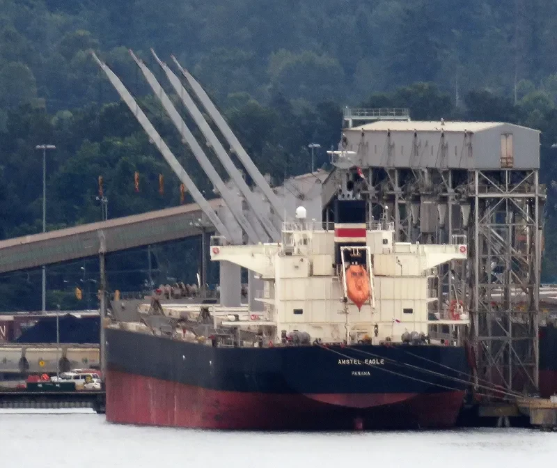 OCEAN GLSR Bulk Carrier IMO 9529516