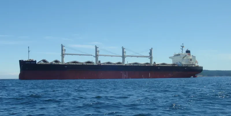 OCEAN GLSR Bulk Carrier IMO 9529516 photo 2