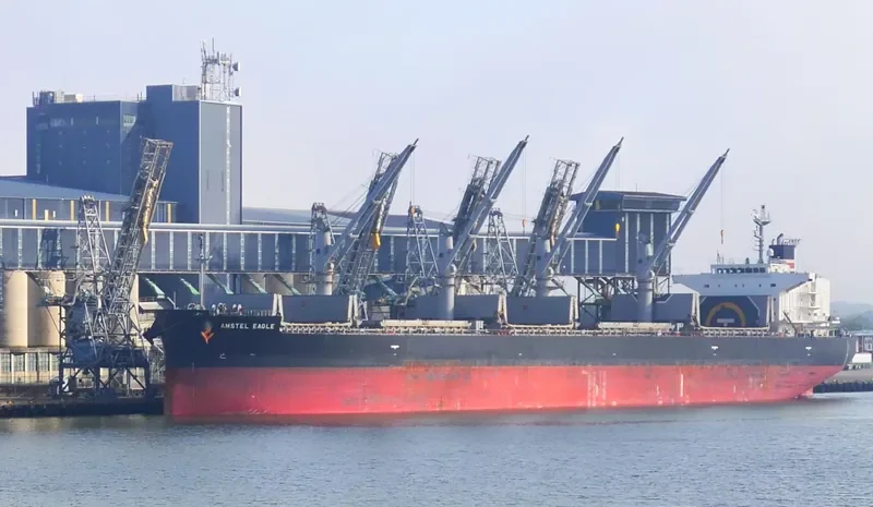 OCEAN GLSR Bulk Carrier IMO 9529516 photo 3
