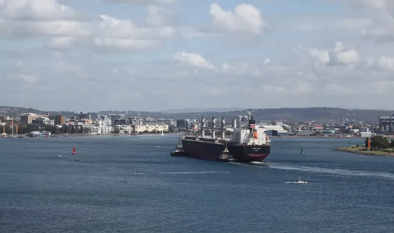 OCEAN GLSR Bulk Carrier IMO 9529516 photo 4