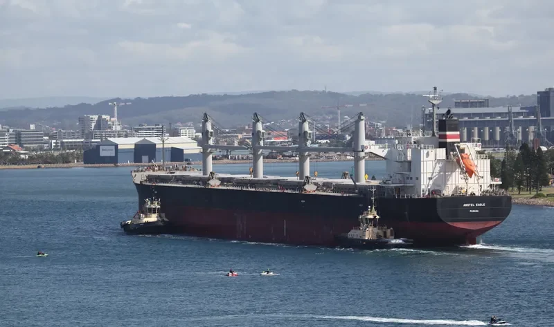 OCEAN GLSR Bulk Carrier IMO 9529516 photo 5