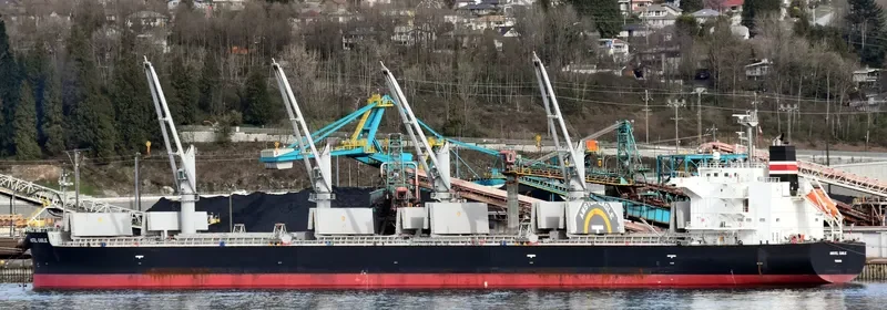 OCEAN GLSR Bulk Carrier IMO 9529516 photo 6