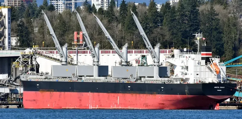 OCEAN GLSR Bulk Carrier IMO 9529516 photo 7