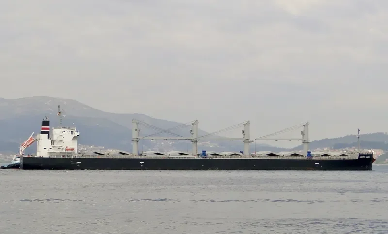 OCEAN GLSR Bulk Carrier IMO 9529516 photo 8