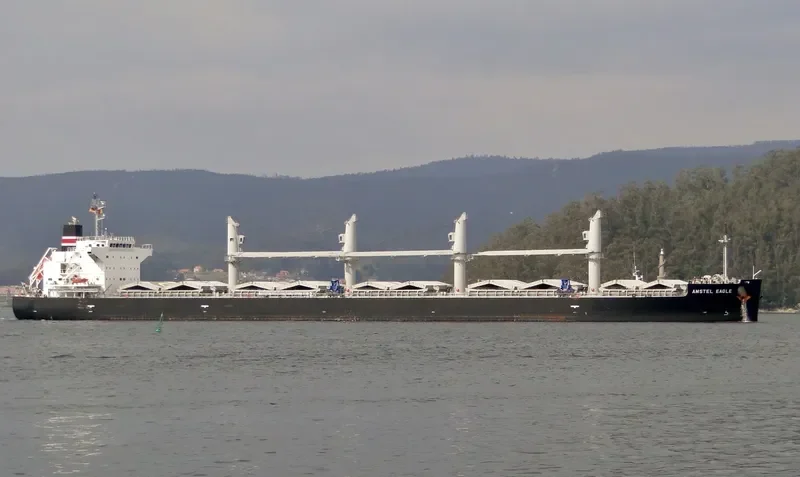 OCEAN GLSR Bulk Carrier IMO 9529516 photo 9