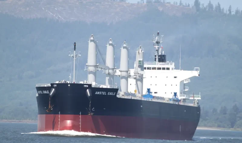 OCEAN GLSR Bulk Carrier IMO 9529516 photo 10
