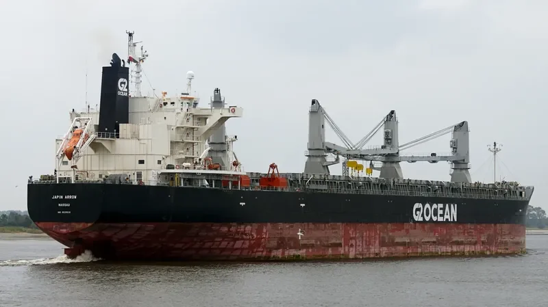JAPIN ARROW General Cargo IMO 9529530 photo 4