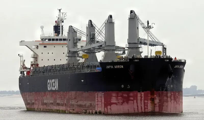 JAPIN ARROW General Cargo IMO 9529530 photo 6