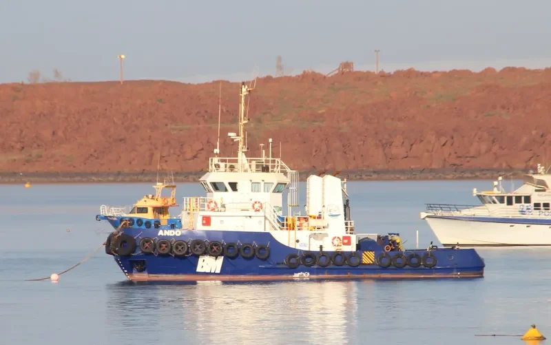 ANDO General Cargo IMO 9529554 photo 2